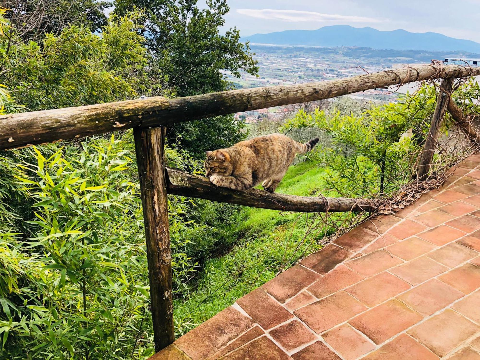 Casale 3 Danesi Hotel Colle Di Buggiano Екстериор снимка